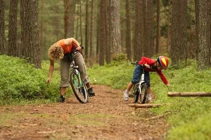Cyklisté projíždějící lesní cyklotrasou v okolí chalupy Pazderna na Šumavě
