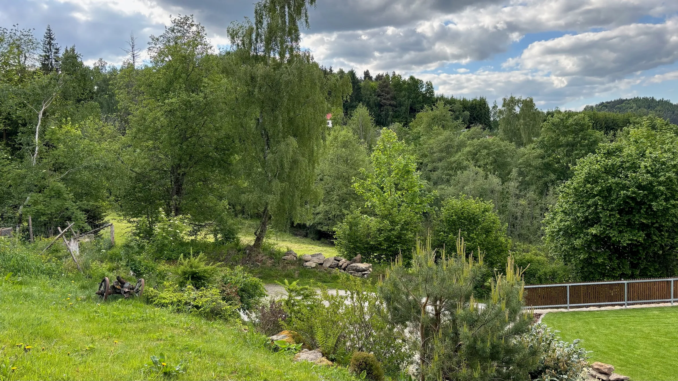 Pohled od chalupy Pazderna na okolní les